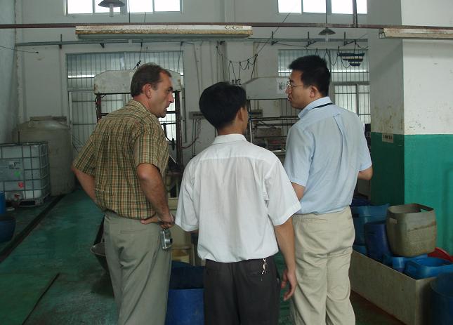 French Guest Audit  Electroplating Plant